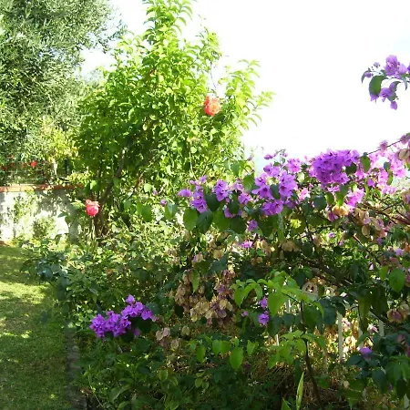 Bed & Breakfast Sachawasi Loano